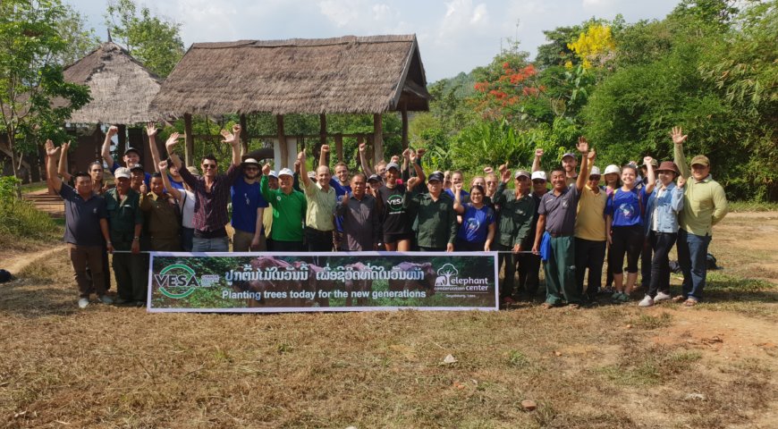 Planting trees