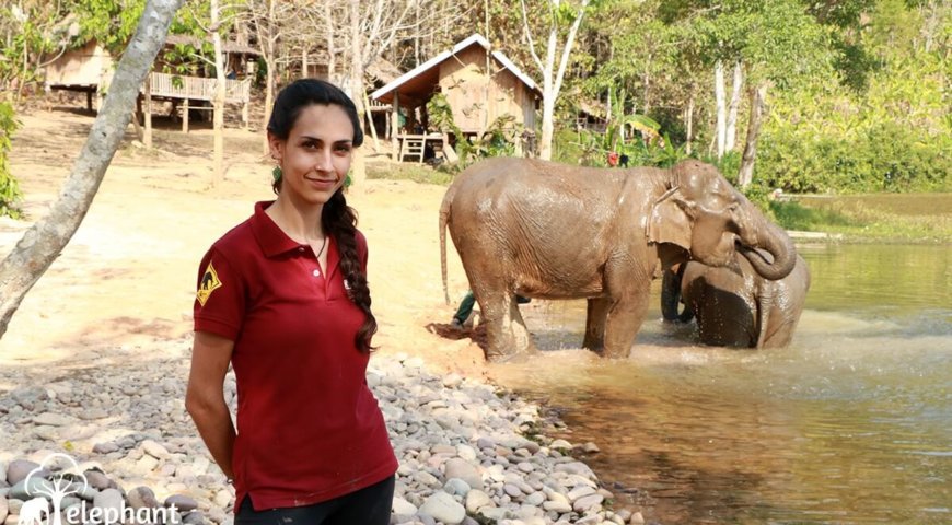 ElephantConservationCenter_Bloodsamples (22)